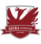 飞鸟FC